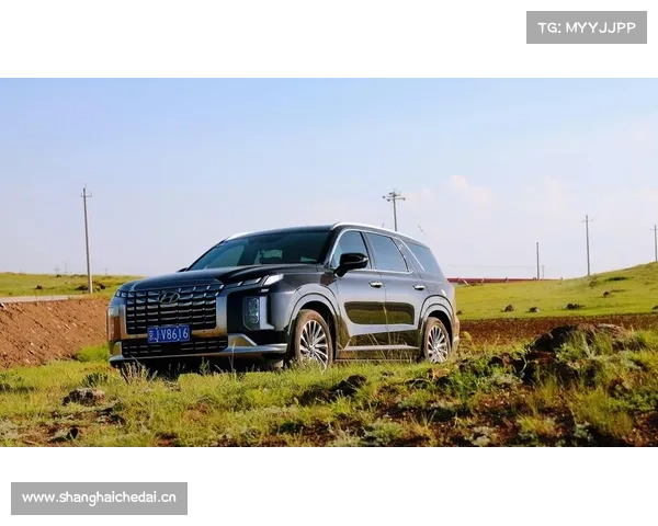 中产家庭新玩具?现代帕里斯帝换代:美系硬汉风+日系混动心 中产家庭新玩具?现代帕里斯帝换代:美系硬汉风+日系混动心